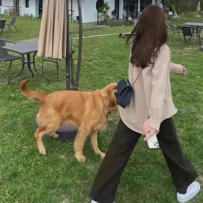 偷来的人生