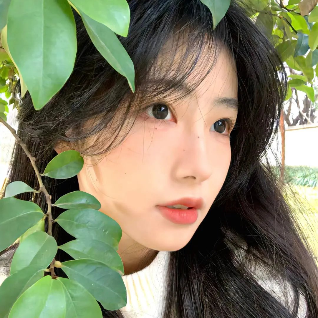 火线第一季